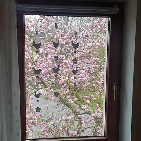 Im Gruenen, Haus Cara, 120m², 4 Zi, Kue, Bad 아파트